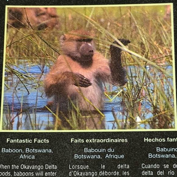 ❤️ BNIB Sealed 100 Pce Puzzle Planet Earth Featuring: Baboon, Botswana Africa - Picture 4 of 4